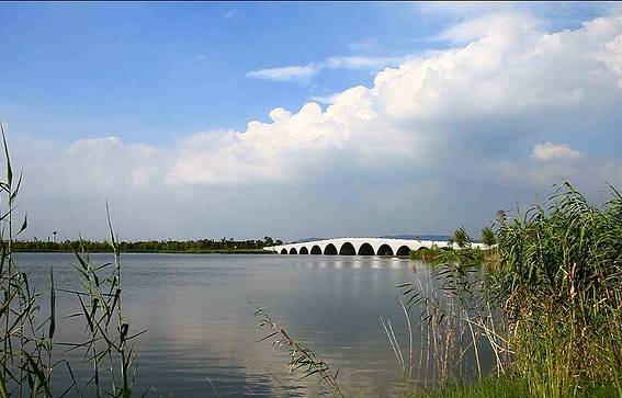 南湖湿地公园