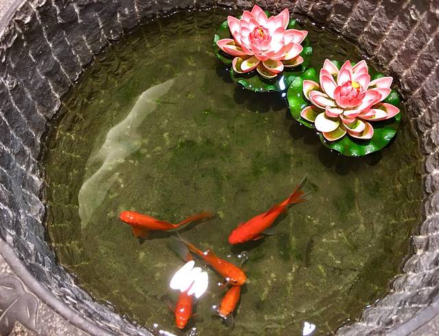 北国先天下购物广场(保定店)