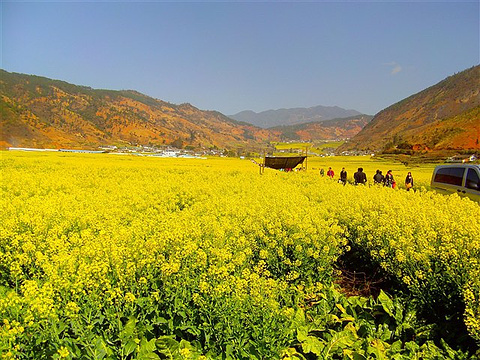 米易龙潭清泉度假村图片