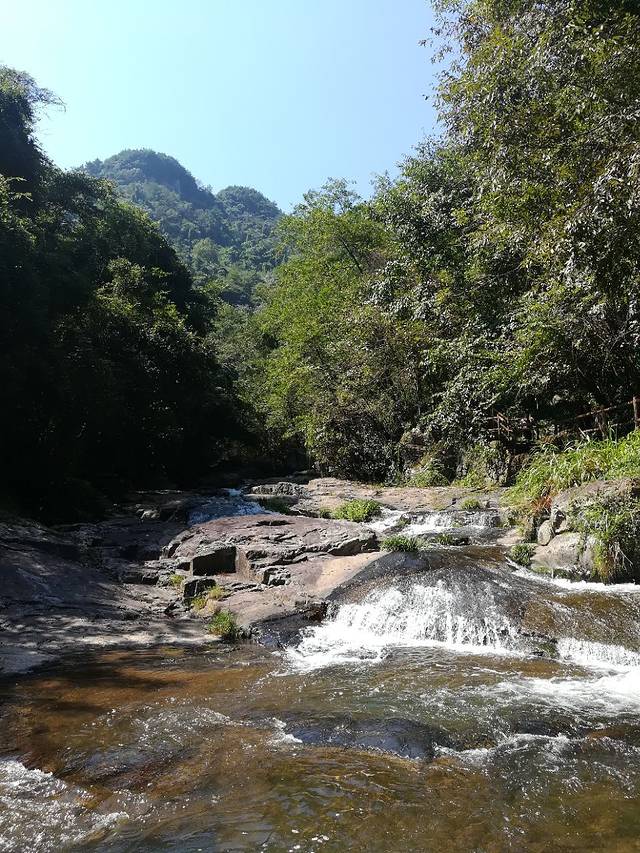 五龙源四季花谷景区