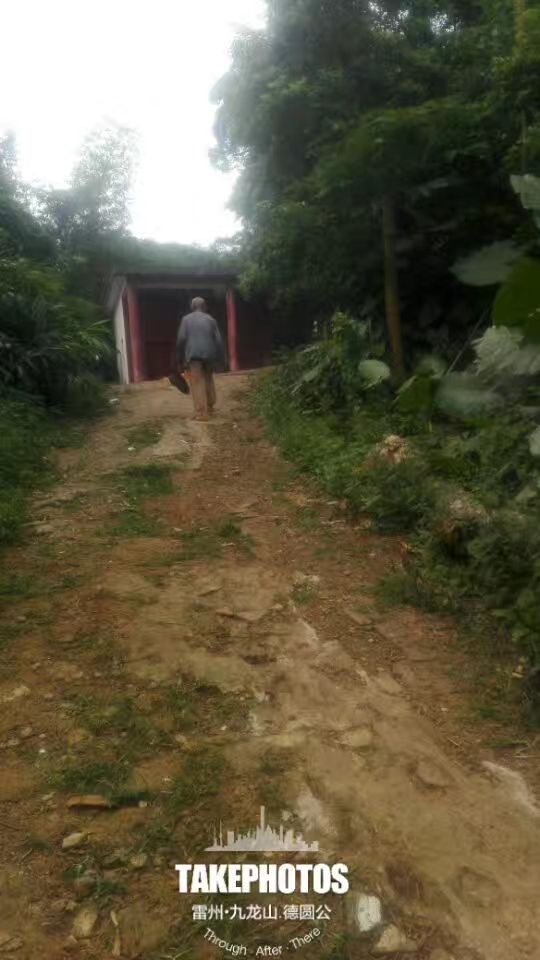 九龙山红树林国家湿地公园