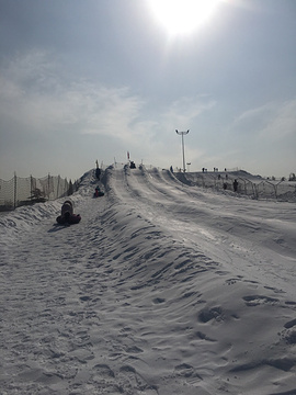 香草园滑雪场的图片