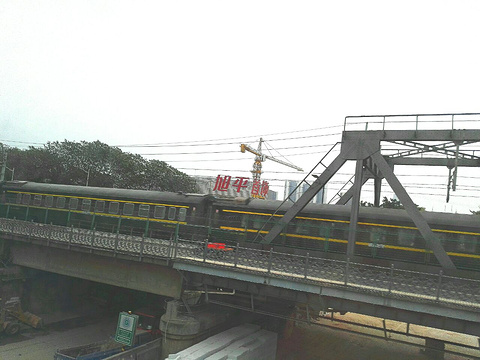 珠江大桥旅游景点图片