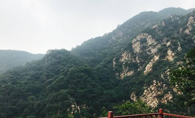 回家小院 清真回民农家院民宿