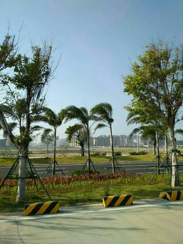 东海岸大道堤坝观景点