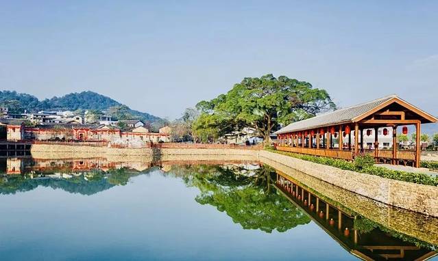 南茶园正桂景区