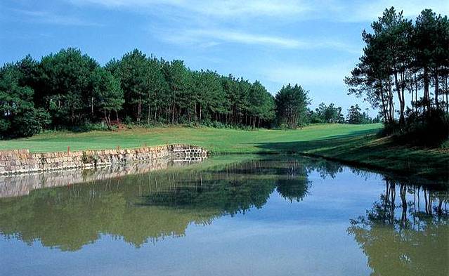 五棵树沿江旅游区