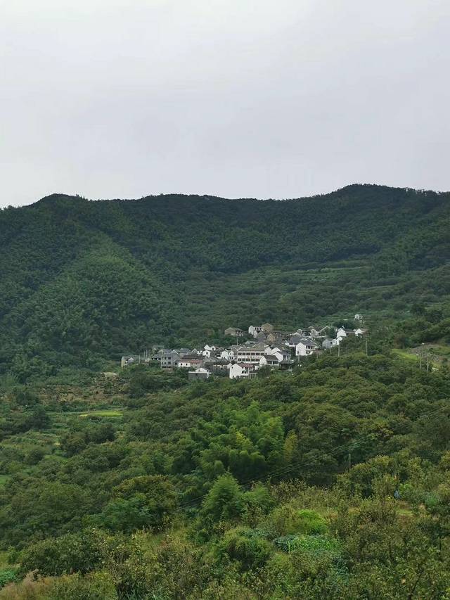 东澄村