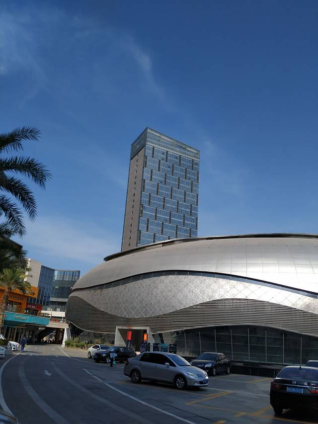 桃花水母大剧院