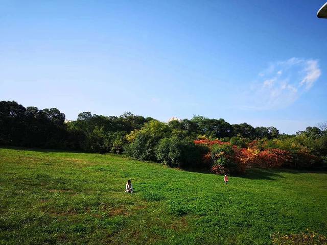 雁鸣湖休闲公园