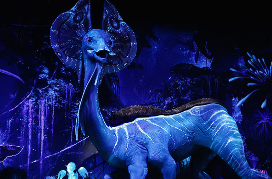 Avatar: Discover Pandora旅游景点图片