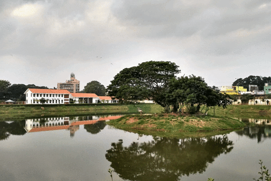 Chetpet EcoPark旅游景点图片