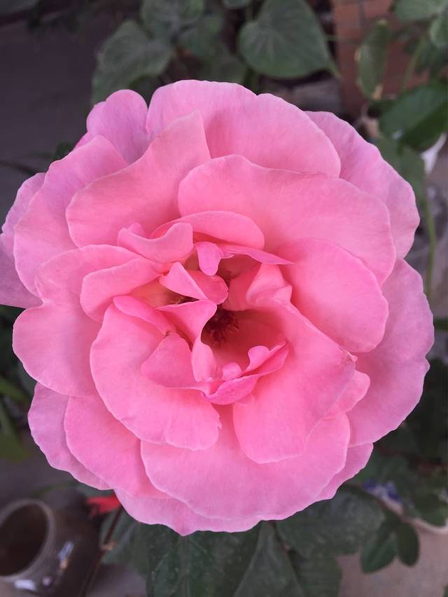 肯德基(西安兴庆店)