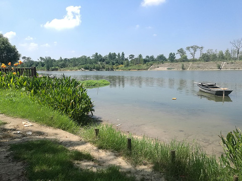 沙颍河国家湿地公园旅游景点图片