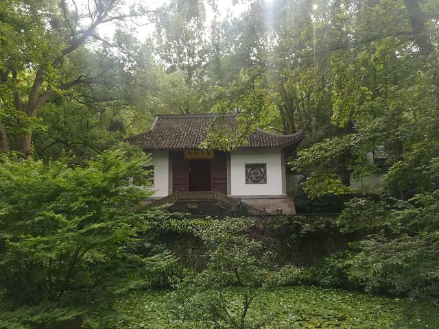 南山风景区-南山竹林景区