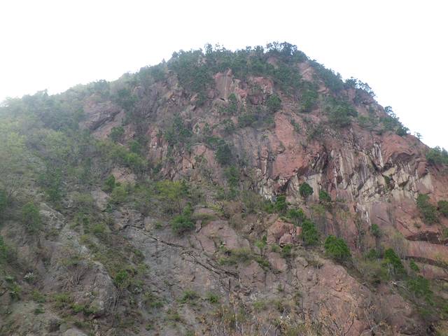 历山猕猴源景区