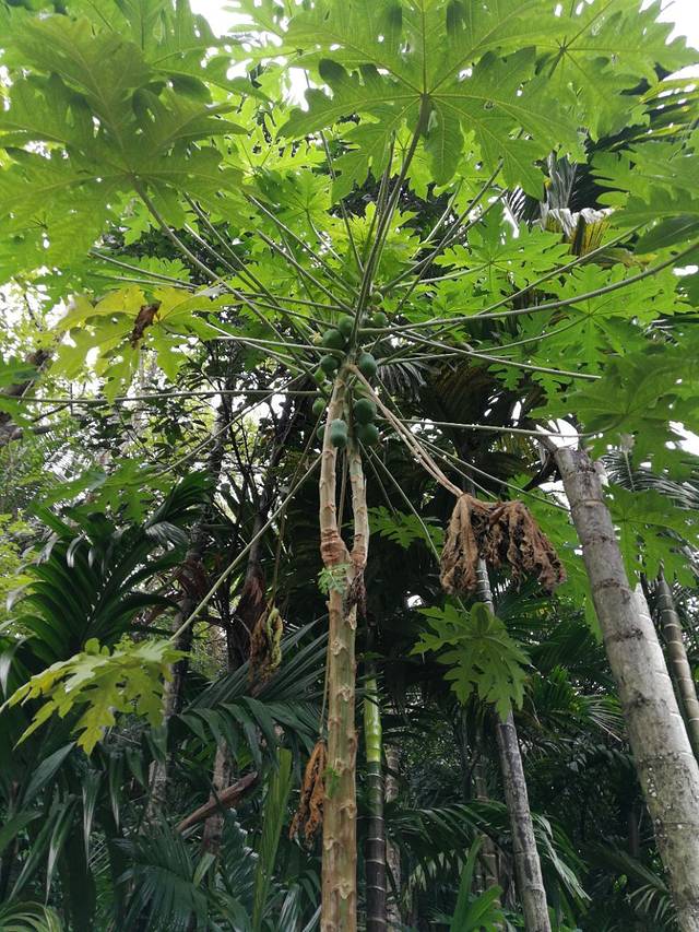 三湘人家(琼海店)