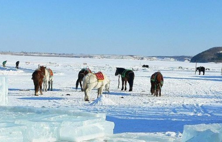 龙珠二龙山滑雪场