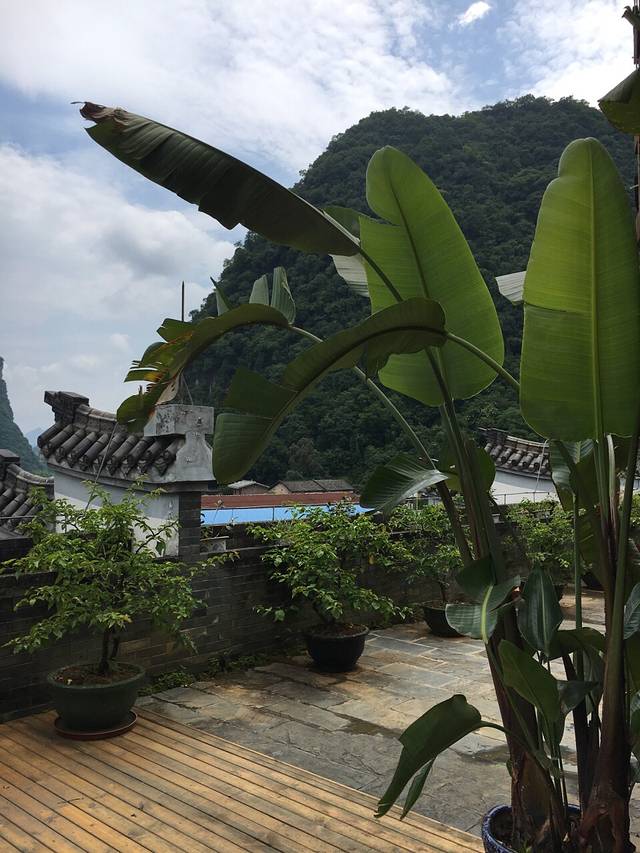 阳朔万丽花园大酒店·花园餐厅