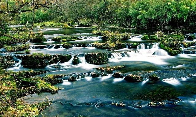 黎平国家森林公园