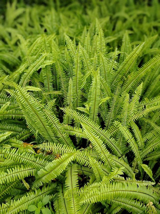 黄果树国家湿地公园