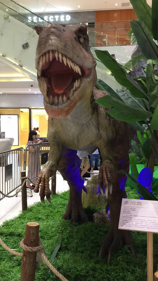 泰禾广场(石狮宝岛中路店)