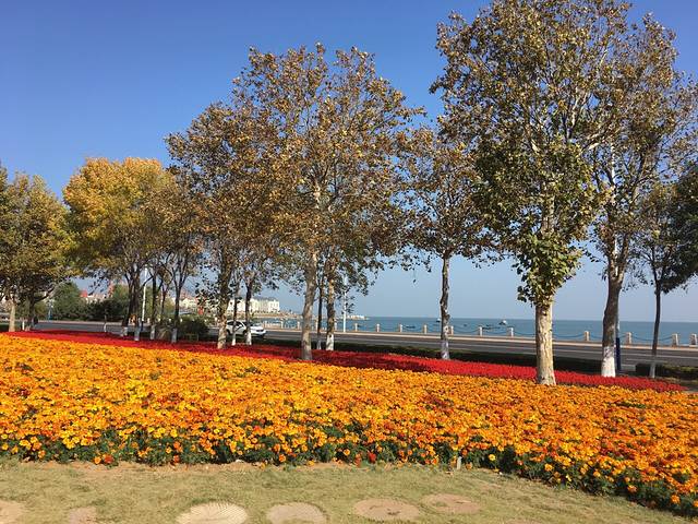 第二海水浴场(滨海中路)