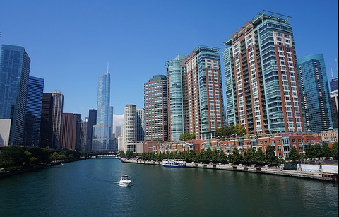 建筑基金会芝加哥河观光游船的图片