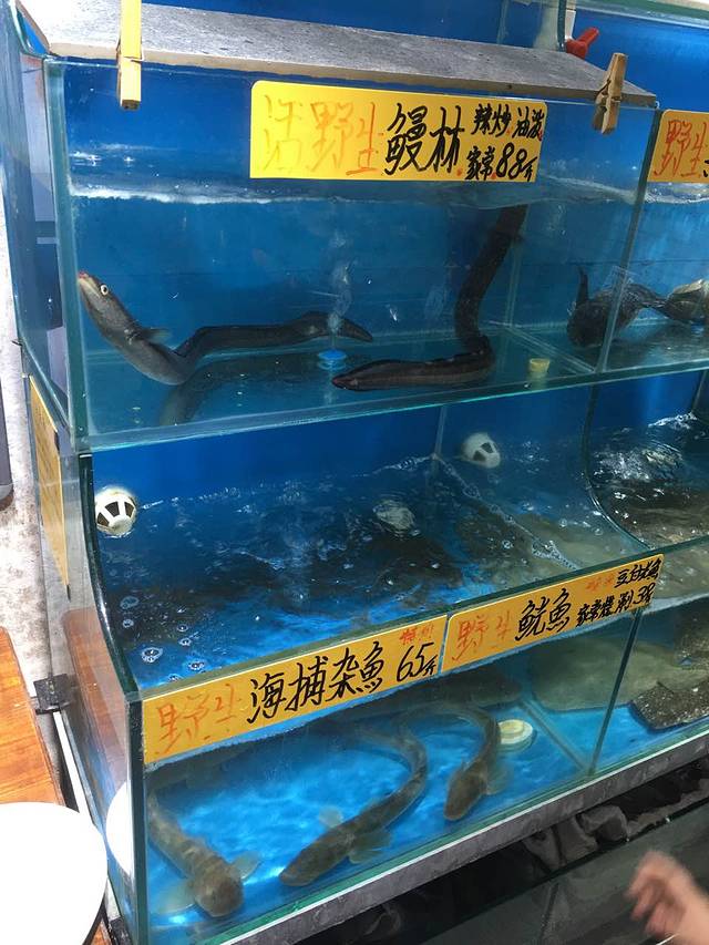 羊屯胶东小海鲜