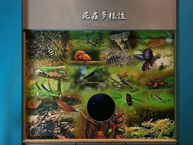 太鲁阁游客中心