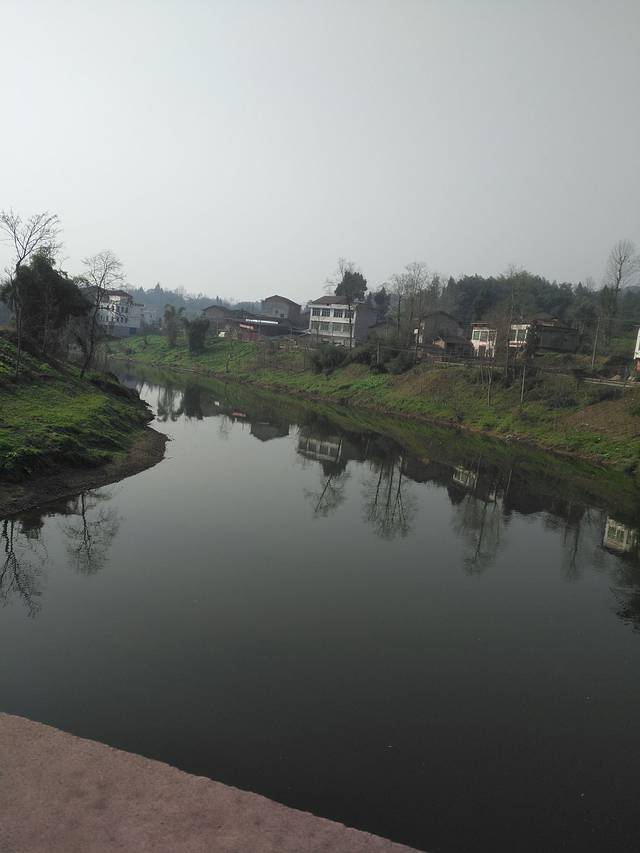 金禾超市(安平路店)