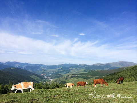 小五台山国家级自然保护区