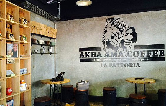 Akha Ama Coffee旅游景点图片