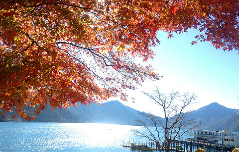 中禅寺湖的图片