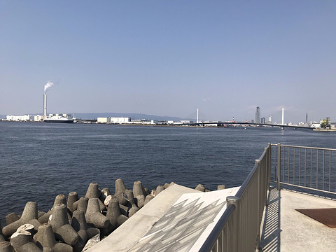 大阪南港钓鱼场旅游景点图片