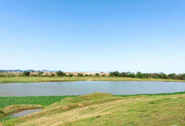 仙眷花洲花海公园