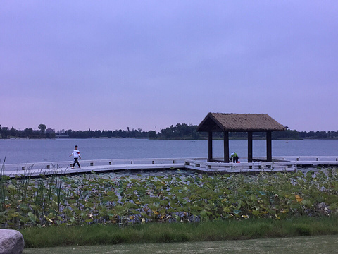 凤凰湖旅游景点图片