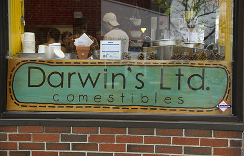 Darwin's Ltd.的图片