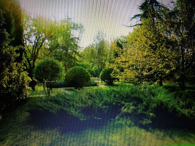 五一山省级森林生态旅游区