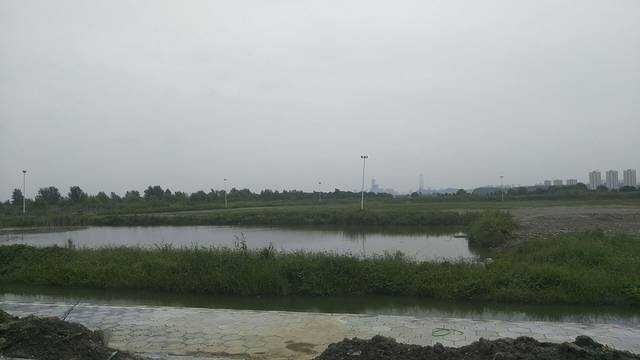 润扬湿地森林公园