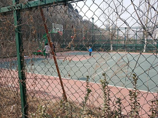 领秀城森林公园