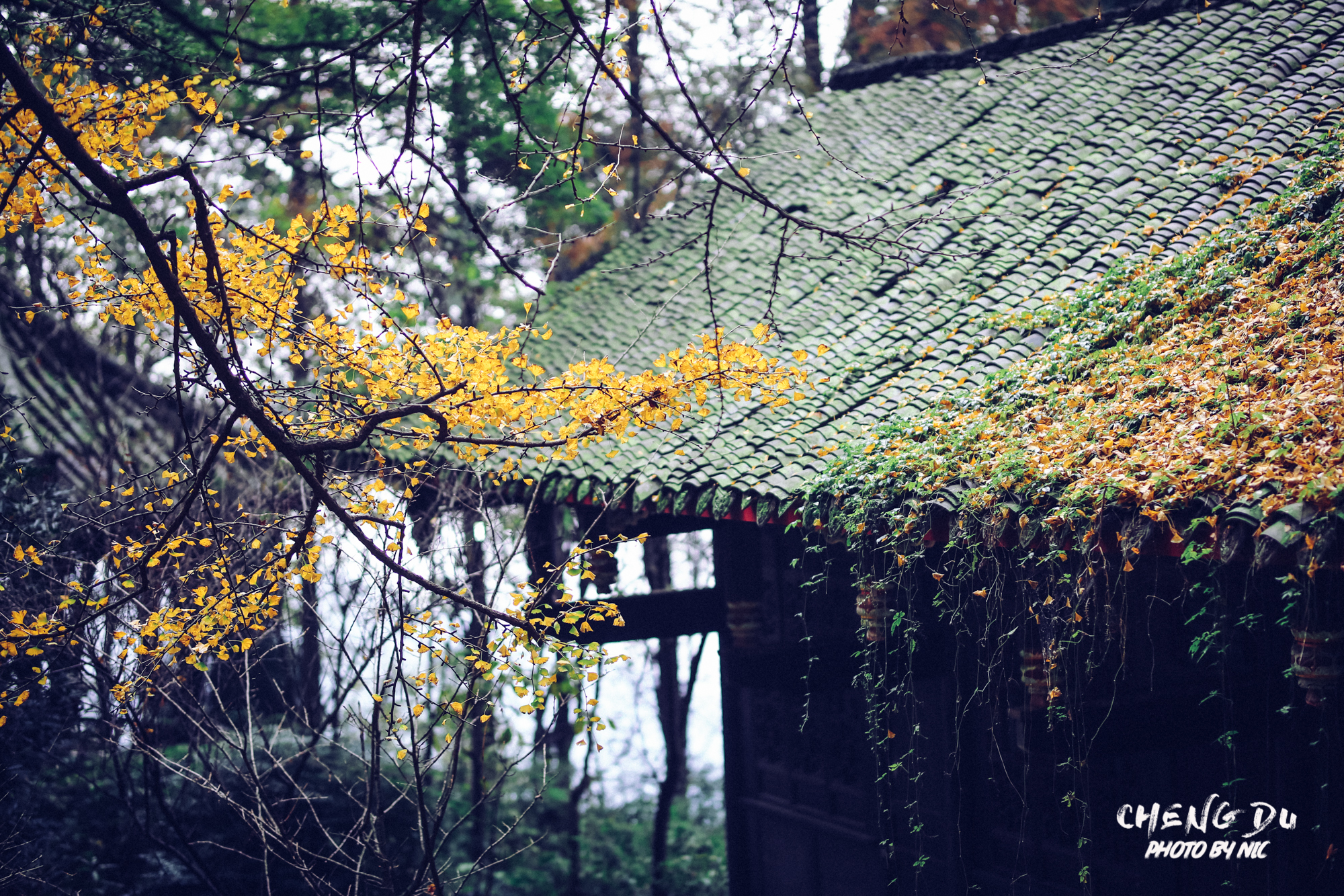 灵岩观音山自然风景区