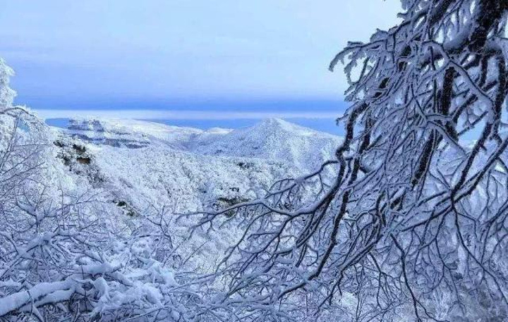 "...雪景漂亮之极，尤其是在寒潮袭击后的光雾山银装素裹，大地白雪皑皑，此时到这里就好像进入了童话世界_光雾山旅游景区"的评论图片