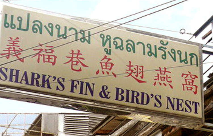 义福巷鱼翅燕窝
