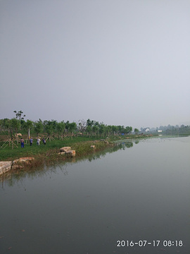 大清河景区的图片