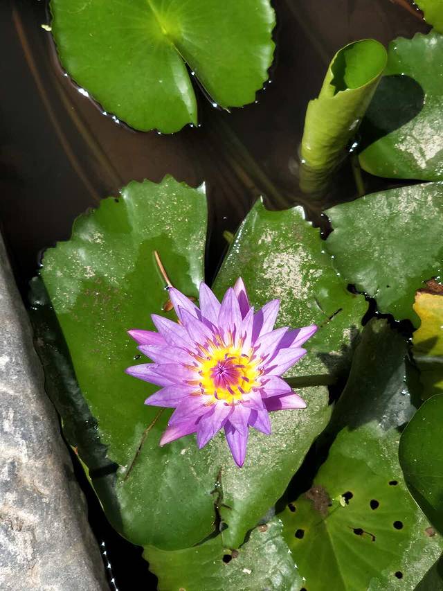 照记客家厨房(手造文化街店)