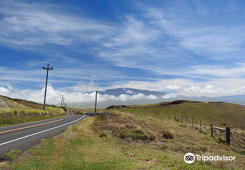Kohala Mountain Road