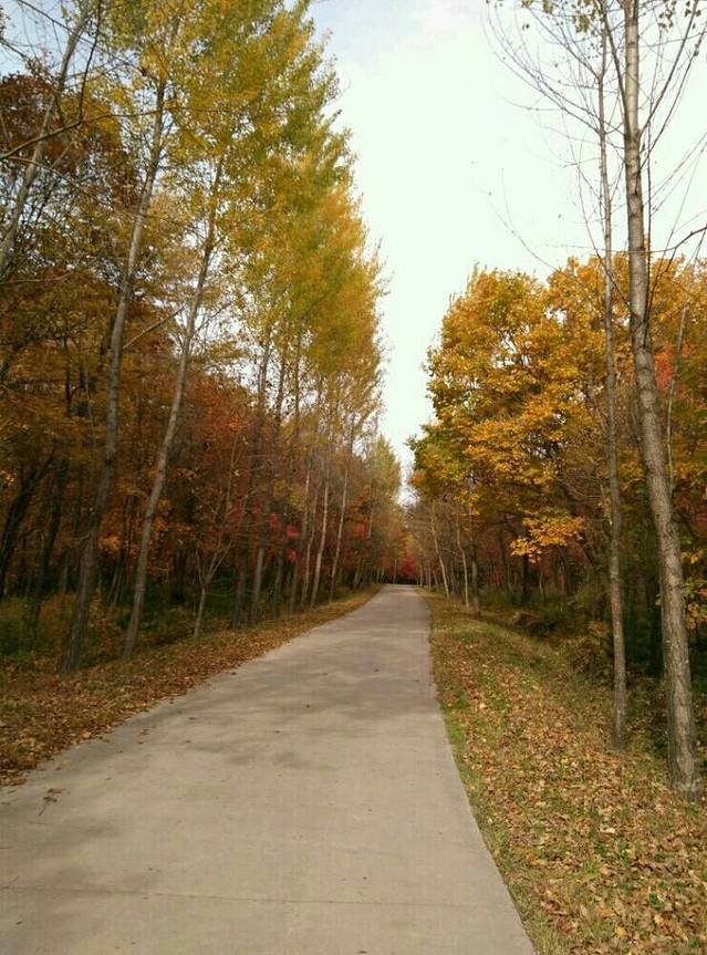 武汉轻工大学(南门)