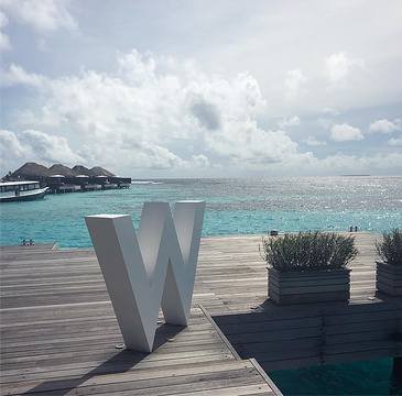 Cruise-Maldives的图片