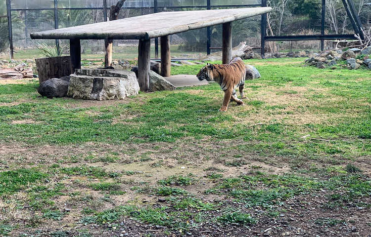 国家动物园及水族馆
